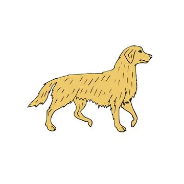 Vector hand drawn doodle retriever dog Stock Illustration