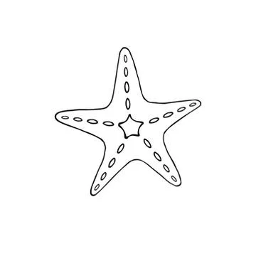 Vector hand drawn doodle sketch starfish Stock Illustration