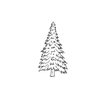 Vector hand drawn doodle sketch spruce tree Stock Illustration