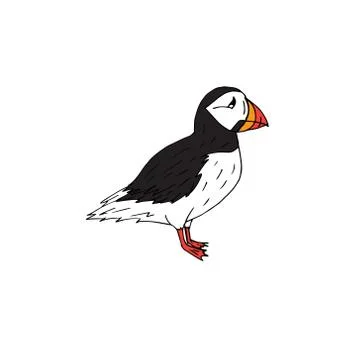 Vector hand drawn doodle sketch colored puffin Stock Illustration
