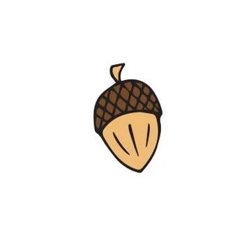 Vector hand drawn doodle sketch colored acorn Stock Illustration
