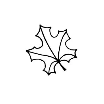 Vector hand drawn doodle sketch maple leaf Stock Illustration