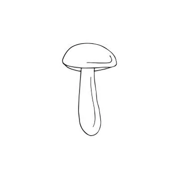 Vector hand drawn doodle sketch Orange cup boletus Stock Illustration