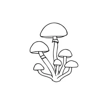 Vector hand drawn doodle sketch honey mushroom Stock Illustration