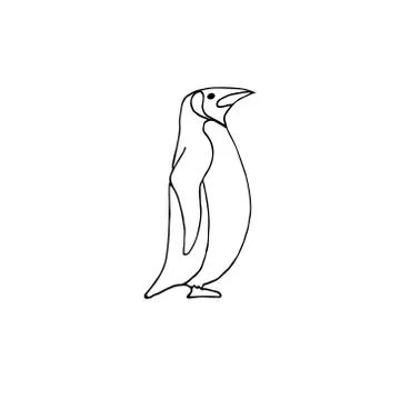 Vector hand drawn doodle sketch penguin Stock Illustration