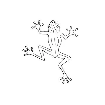 Vector hand drawn doodle sketch frog Stock Illustration