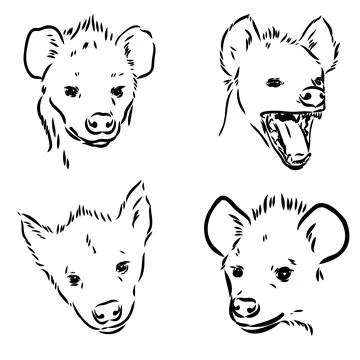 Vector hand drawn doodle sketch hyena isolated on white background Stock Illustration