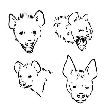 Vector hand drawn doodle sketch hyena isolated on white background Stock Illustration