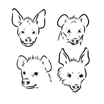 Vector hand drawn doodle sketch hyena isolated on white background Illustrazione stock