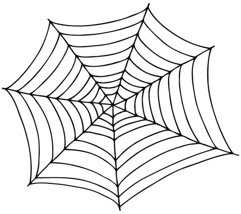 Vector hand drawn doodle spiderweb isolated on white background. Stock Illustration