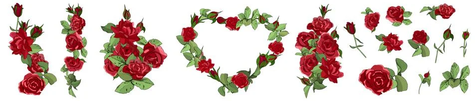 Vector hand drawn elements set of red roses, leaves, bud and an open flower. Stock Illustration