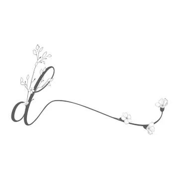Vector Hand Drawn floral d monogram and logo Stock Illustration
