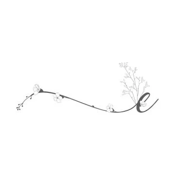 Vector Hand Drawn floral e monogram and logo Stock Illustration