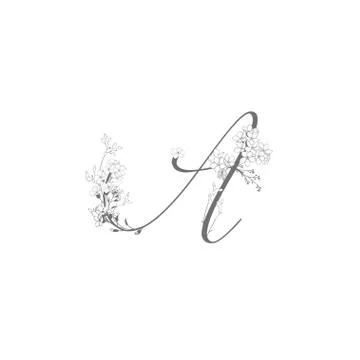 Vector Hand Drawn floral A monogram and logo Stock Illustration