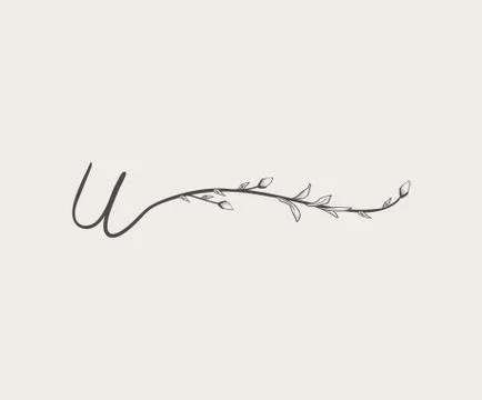 Vector Hand Drawn floral u monogram and logo Stock Illustration