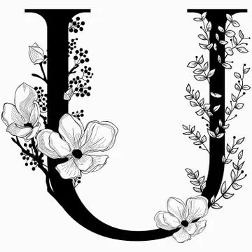 Vector Hand Drawn floral uppercase U monogram and logo Stock Illustration