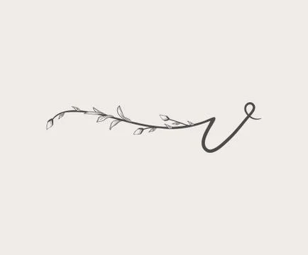 Vector Hand Drawn floral v monogram and logo Stock Illustration
