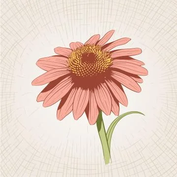 Vector hand drawn flower. Stock Illustration