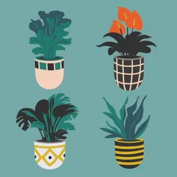 Vector hand drawn flower pots. Home garden collection, gardening design Stock Illustration