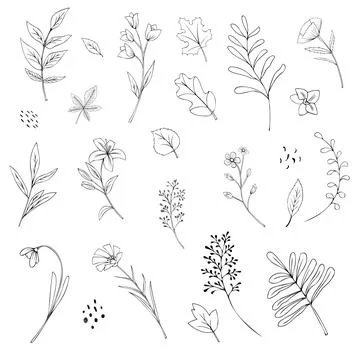 Vector hand-drawn flowers vector illustration on a white background Stock Illustration