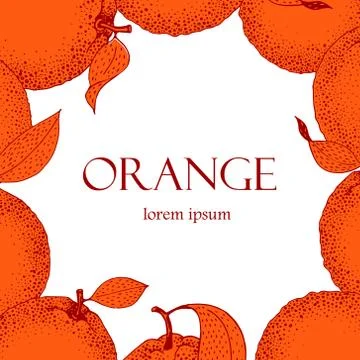 Vector hand drawn frame with oranges in sketch style. Vintage illustration Stock Illustration