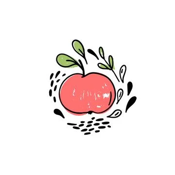 Vector hand drawn fruit with leaves and drops on a white background. Apple .. Stock Illustration