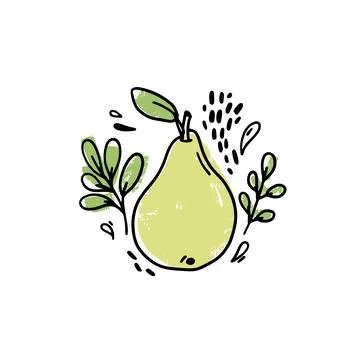 Vector hand drawn fruit with leaves and drops on a white background. Pear fru Stock Illustration