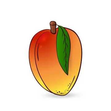 Green ripe mango on tree sketch Royalty Free Vector Image