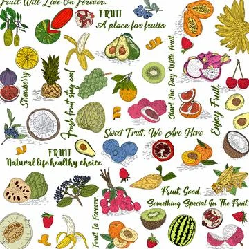 Vector hand drawn fruits pattern. Stock Illustration
