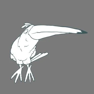 Vector hand drawn funny parrot or toucan bird on plain background Stock Illustration