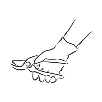 Vector hand drawn Garden pruner outline doodle icon. Garden pruner sketch ill Stock Illustration