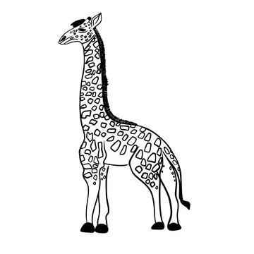 Vector hand drawn giraffe sketch, black lines on white background Stock Illustration