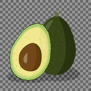 Vector. Hand-drawn green avocado isolated on transparent background. Stock Illustration