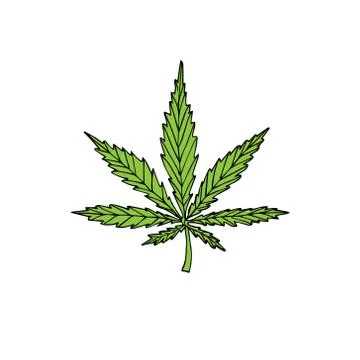Vector hand drawn green colored hemp cannabis Stock Illustration