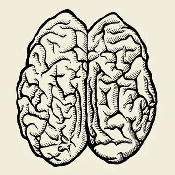 Vector hand drawn Human brain Illustrazione stock