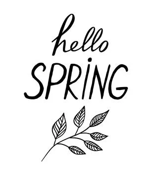 Vector hand drawn illustration. Artwork with twig and hello spring lettering. Stock Illustration