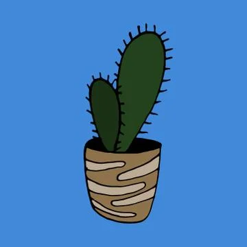 Vector hand drawn illustration of cactus Stock Illustration