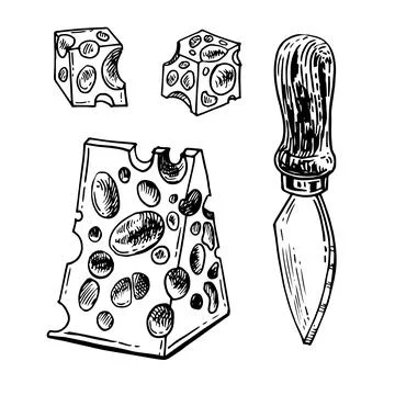 Vector hand drawn illustration with cheese pieces . Hand drawn Sketch. Engraving Stock Illustration
