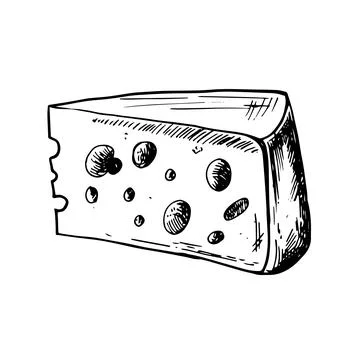 Vector hand drawn illustration with cheese piece . Hand drawn Sketch. Engraving Stock Illustration