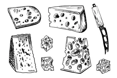 Vector hand drawn illustration with cheese pieces . Hand drawn Sketch. Engraving Stock Illustration