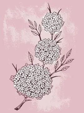 Vector hand drawn illustration with contour of flowers on textured background Stock Illustration