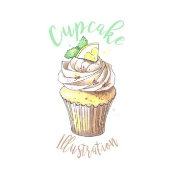 Vector hand drawn illustration of cupcake with lemon.llustration. Food Stock Illustration