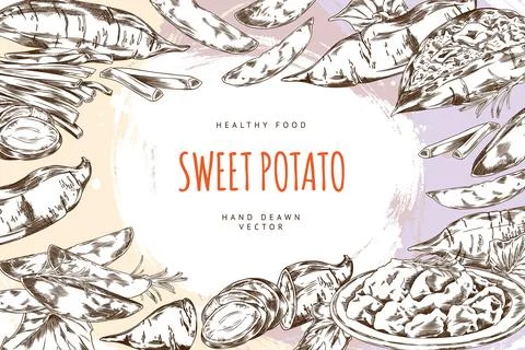 Vector hand drawn illustration of frame with Japanese sweet potato. Stock Illustration