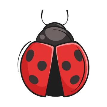 Vector hand drawn illustration of ladybug Stock Illustration