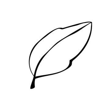 Vector hand drawn illustration of plant leaf in Doodle style. Empty outline i Stock Illustration