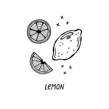 Vector hand-drawn illustration of a product for Italian cuisine.  Lemons Stock Illustration