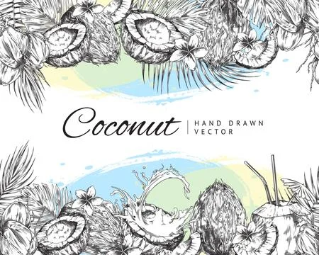 Vector hand drawn illustration of sketch tropical coconut cocktails with straw Stock Illustration