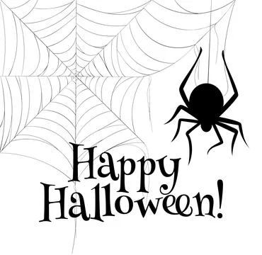 Vector hand drawn illustration of spider web with doodle style isolated on white Stock Illustration