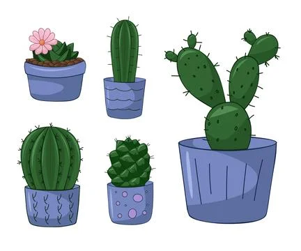 Vector hand drawn isolated cactus and succulent set. Cute green cactus in flower Stock Illustration