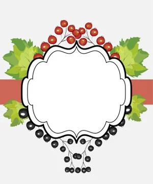 Vector hand drawn label currants Stock Illustration